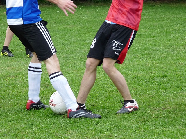 个新的高度 个新的高度