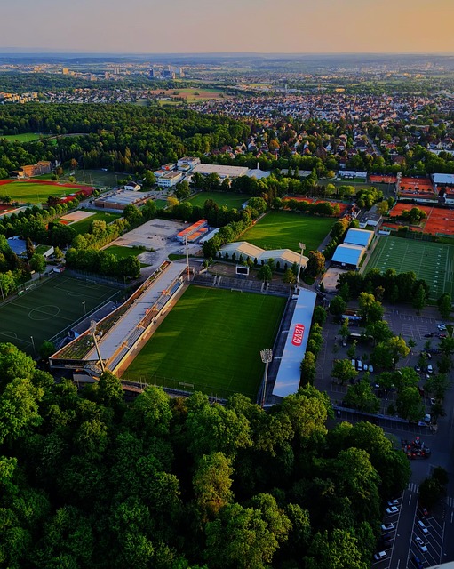 能有效推动 能有效推动