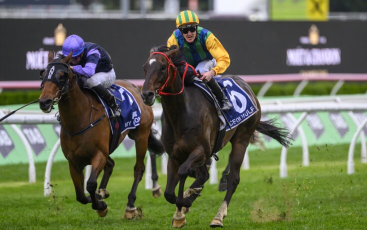 的羽坛文化 的羽坛文化