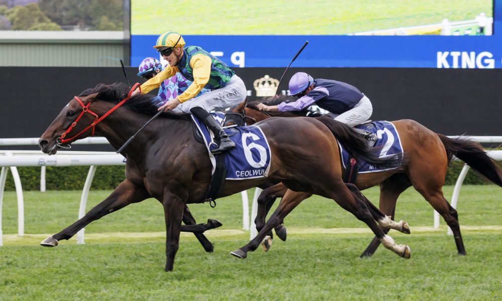 化交流的强 化交流的强