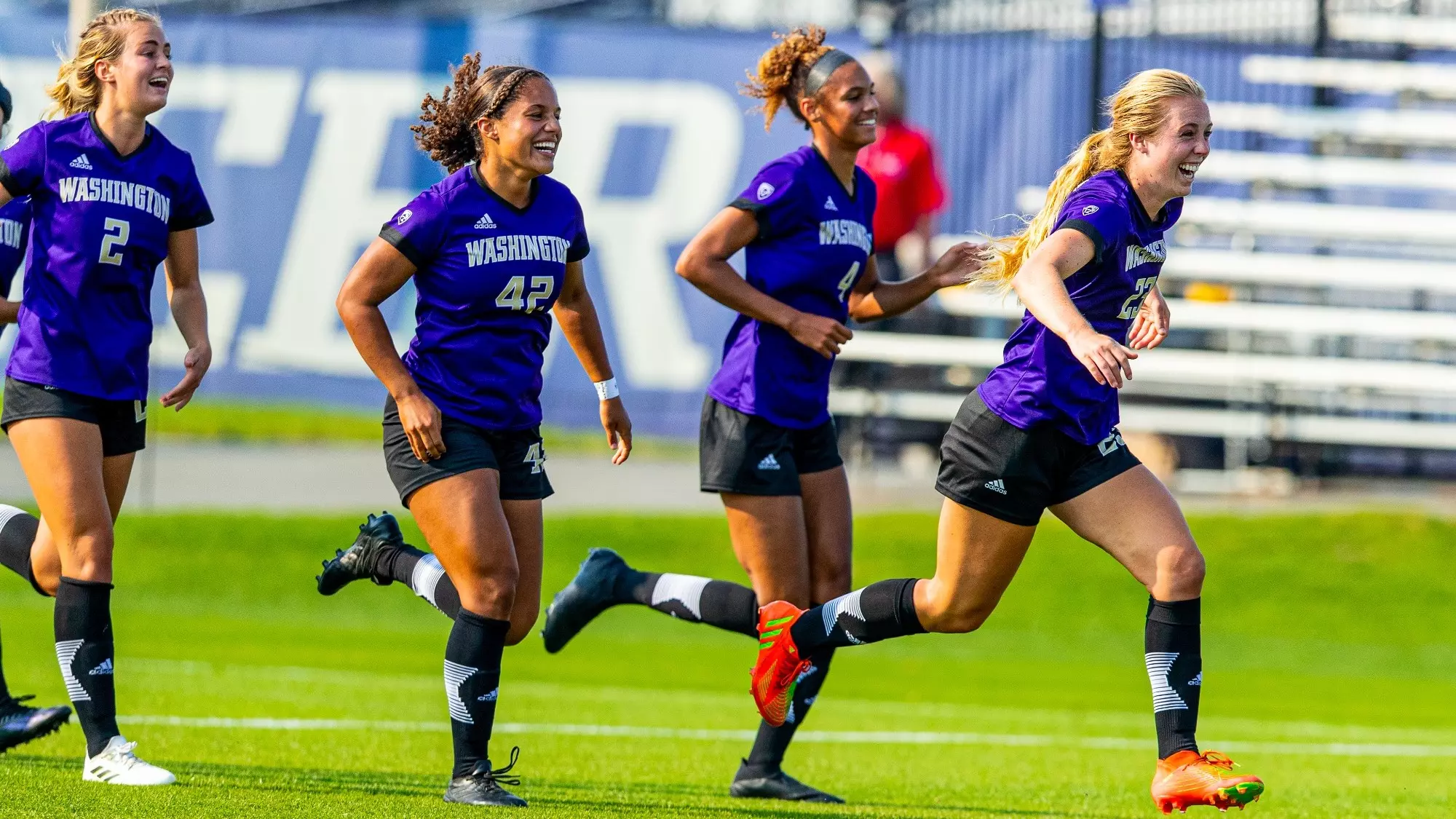 友谊的纽带 友谊的纽带